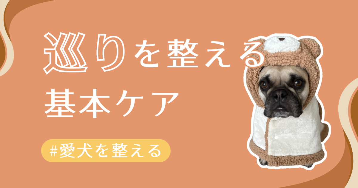 巡りをよくするアイキャッチ