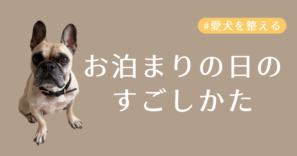 お泊まりアイキャッチ