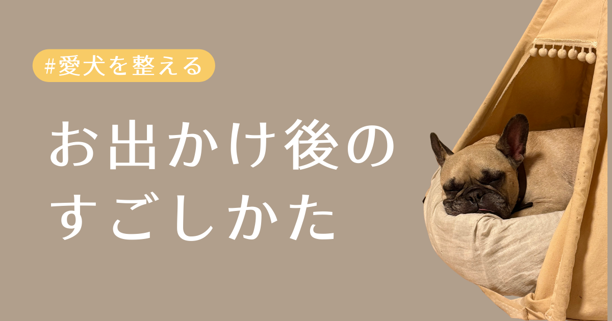 お出かけ後のすごしかたアイキャッチ