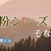 花粉シーズンに備えるアイキャッチ