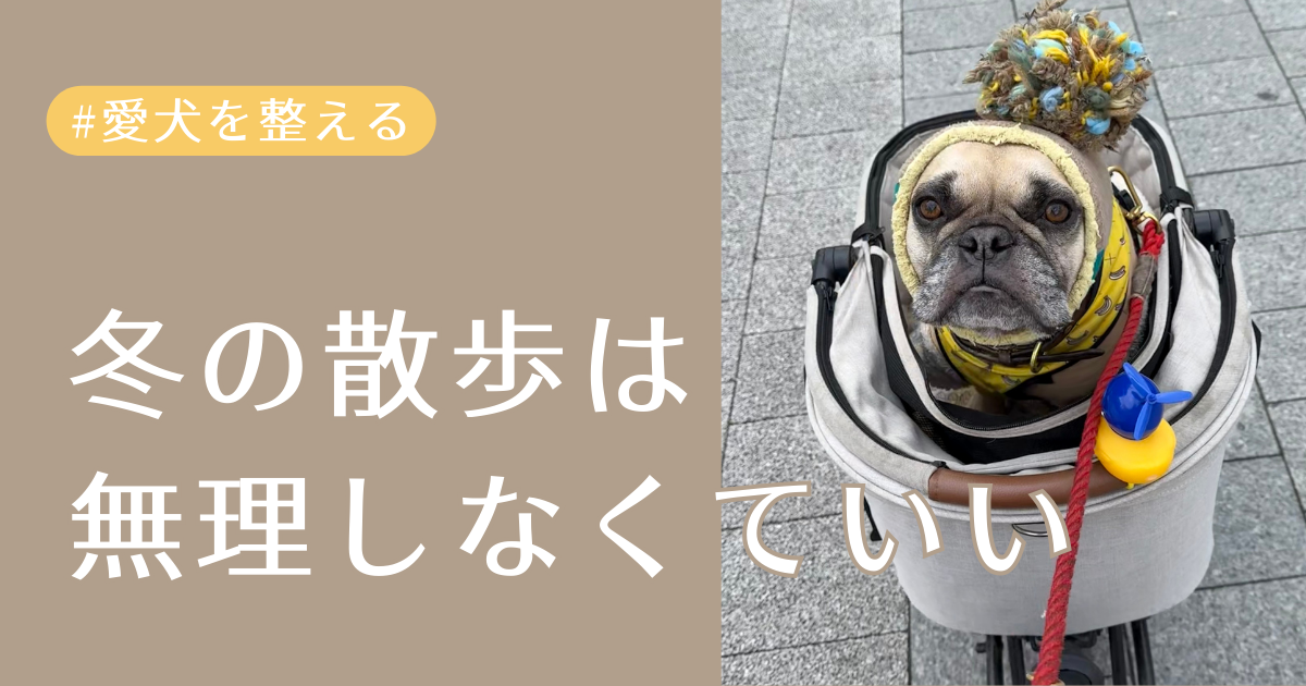 冬の散歩はムリしなくていいアイキャッチ