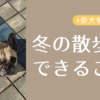 冬の散歩でできることアイキャッチ