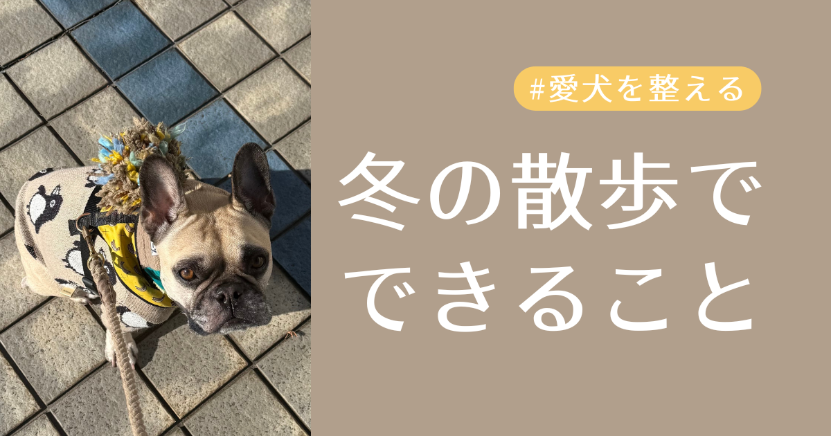 冬の散歩でできることアイキャッチ