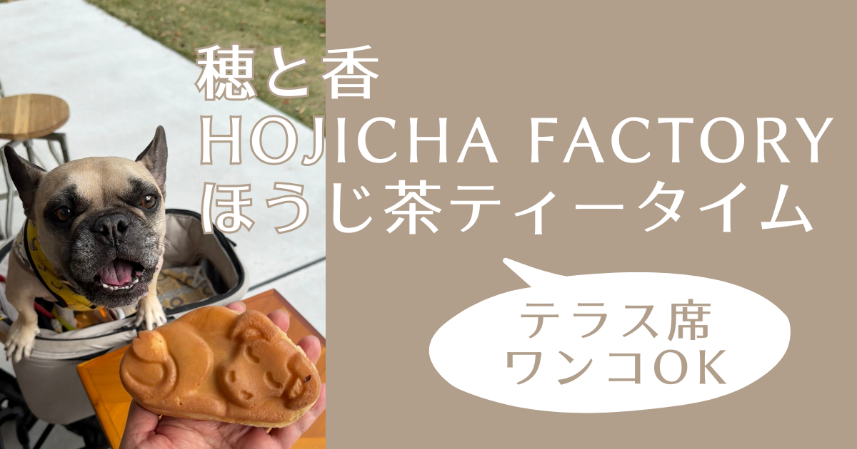 HOJICHA FACTORY アイキャッチ