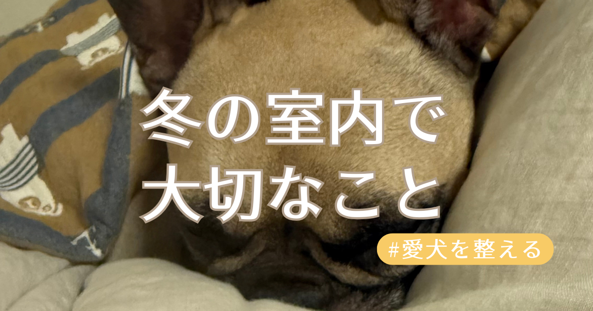 冬の室内で大切なことアイキャッチ